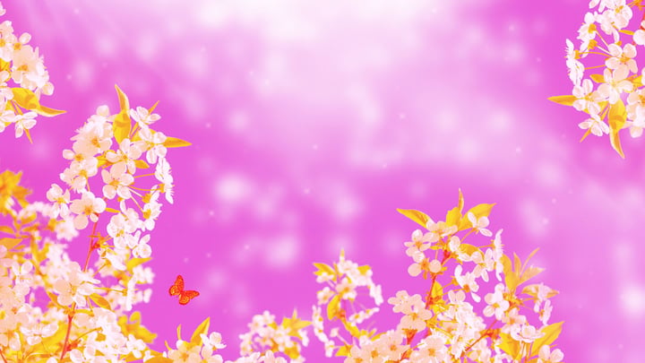 Bright Colorful Spring Flowers.