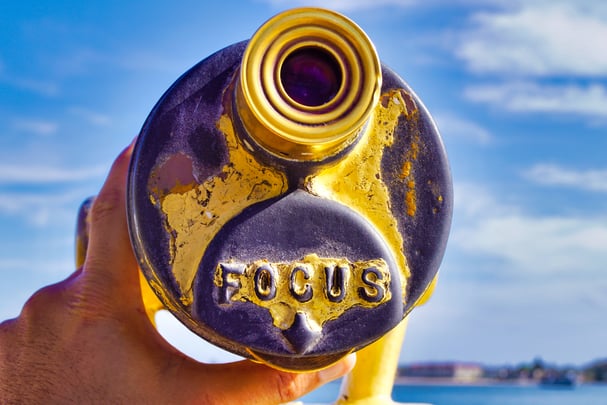 Focus in. Choosing a Niche as a New Travel Advisor: Why Specialization Matters 