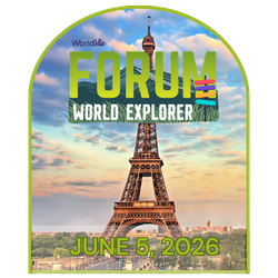 Forum World Explorer June 5, 2026